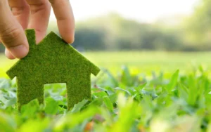 A Green House Signaling an Eco Friendly Move